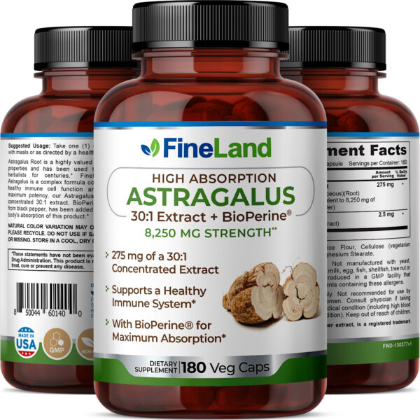 FineLand_Astragalus_3d_1 Astragalus - Image 2