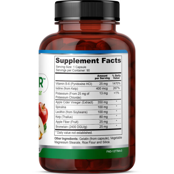 FineLand-AppleIzer-3DRender-Back Apple-Izer - Image 3