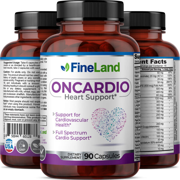 FineLand-OnCardio-3DRender-Group Oncardio - Image 2