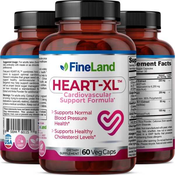 HeartXLRender1 Heart-XL - Image 2