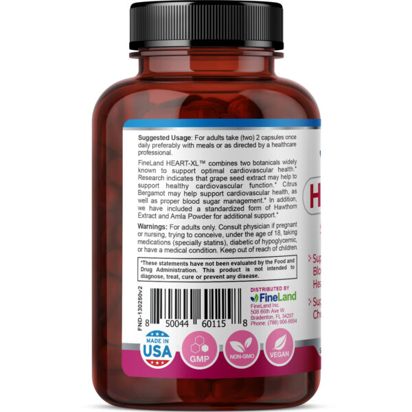 HeartXLRender3 Heart-XL - Image 4