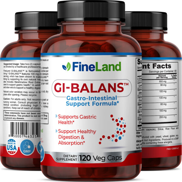 FineLand-GI-Balans-3DRender-Group Gi-Balans - Image 2