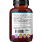 BerBrain - Image 3
