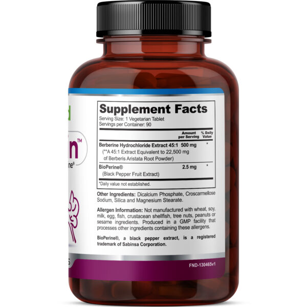 FineLand-BerBrain-3DRender-04 BerBrain - Image 4