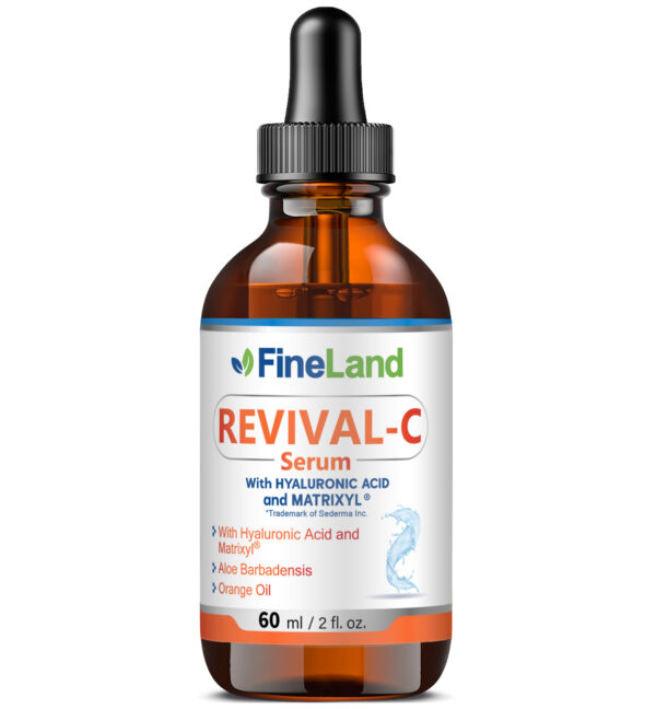 001REVIVAL_Render Revival-C - Image 3