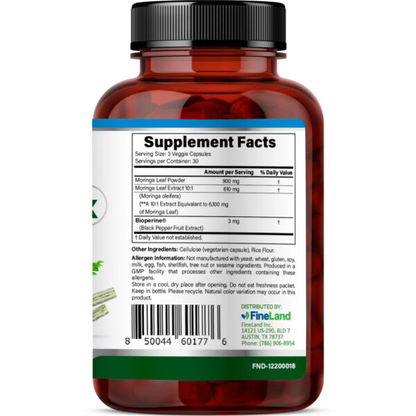 FineLand_MORINGA MAX_3dRender_Back Moringa Max - Image 2
