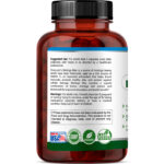 Moringa Max - Image 3