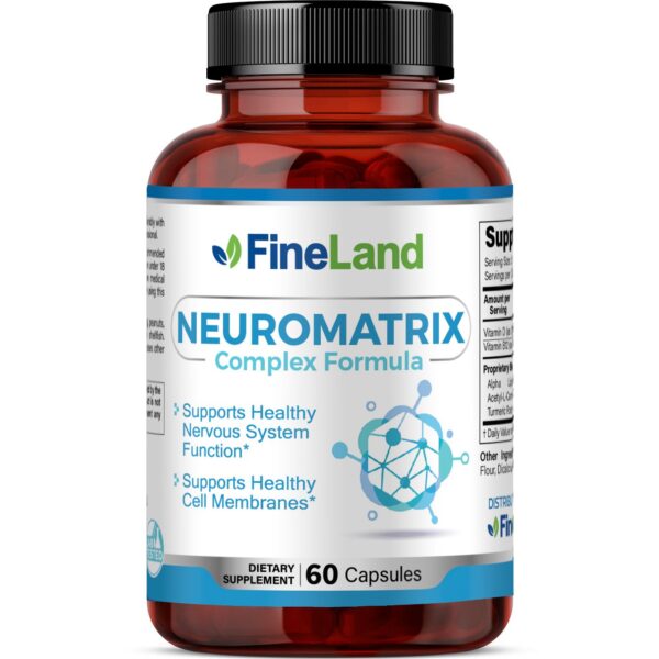 FineLand_NEUROMATRIX_3dRender_Front Neuromatrix - Image 1