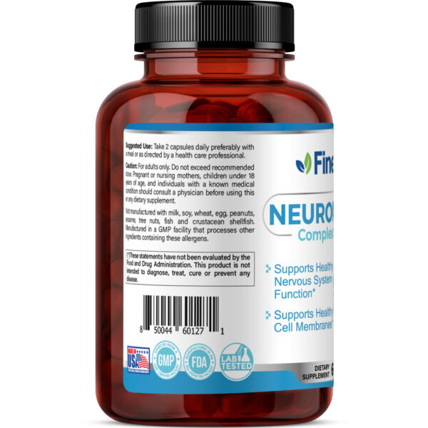 FineLand_NEUROMATRIX)_3dRender_Side Neuromatrix - Image 2