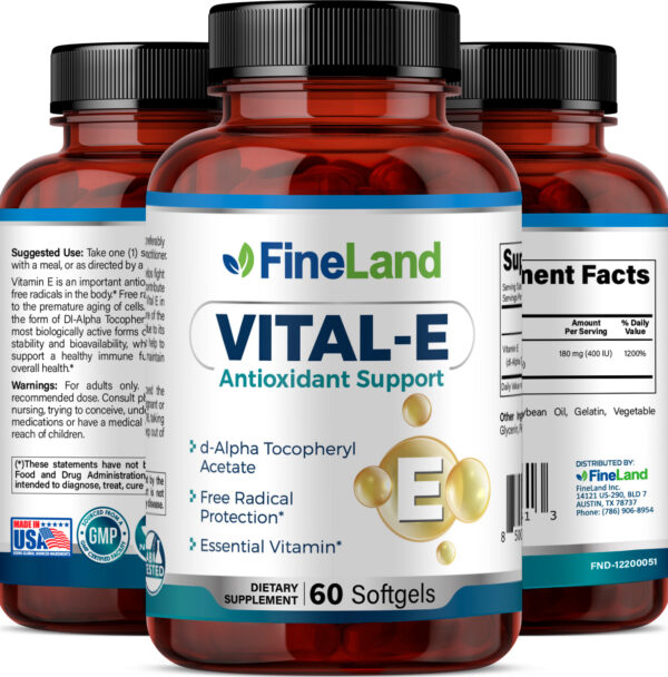 VITAL-E_3dRender_Group (PLANO) Vital-E - Image 4