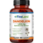 Dandelion