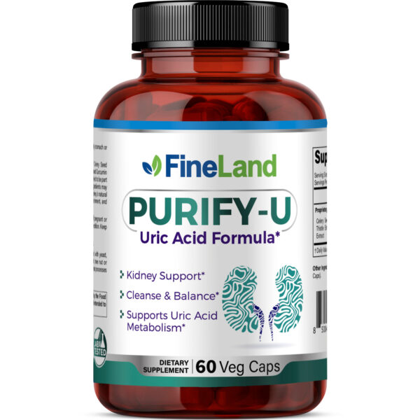 FineLand_PURIFY U_3dRender_Front Purify-U - Image 1