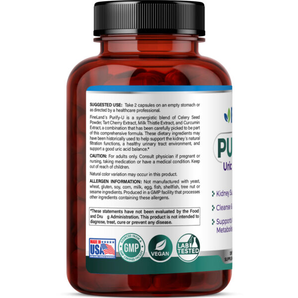FineLand_PURIFY U_3dRender_Side Purify-U - Image 2