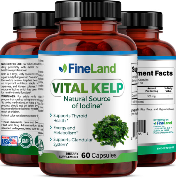KELP_3dRender_Group (PLANO) Vital Kelp - Image 4