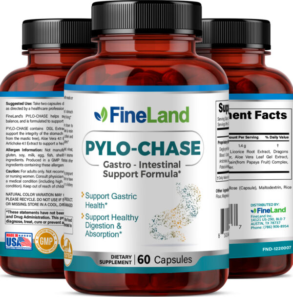 PYLO-CHASE_3dRender_Group (PLANO) Pylo-Chase - Image 4