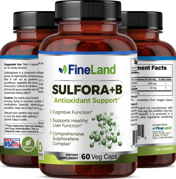 SULFORA_3dRender_Group (PLANO) Sulfora+B - Image 4