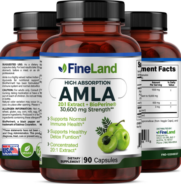 AMLA_3dRender_Group (PLANO) Amla - Image 4