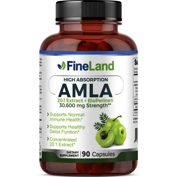 COLOR PARA REVISTA FineLand_AMLA_3dRender_Front Amla - Image 1