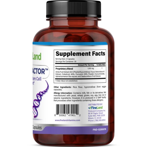 Regen-Factor - Image 3