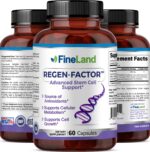 Regen-Factor - Image 4