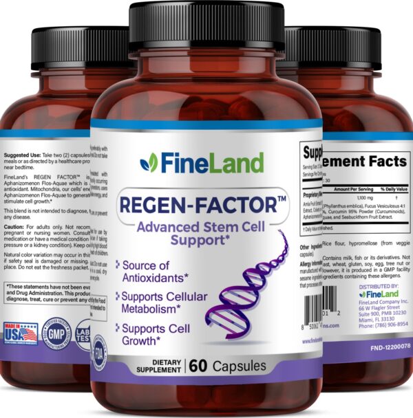 Regen-Factor - Image 4