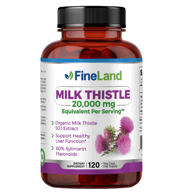 MILK THISTLE PNG Milk Thistle - Image 1