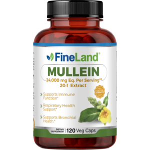Mullein