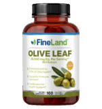 Olive Leaf