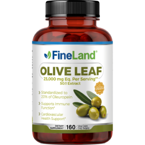 Olive Leaf