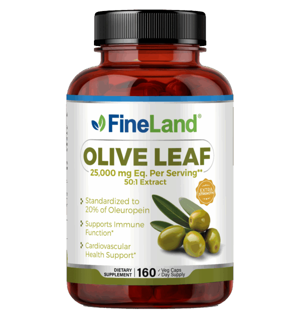 Olive Leaf Extract Frontis Olive Leaf - Image 1