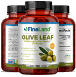 Olive Leaf - Image 4