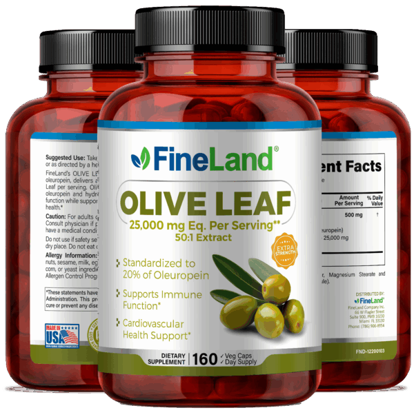 Olive Leaf - Image 4