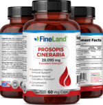 Prosopis Cineraria - Image 4