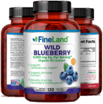 Wild Blueberry - Image 4