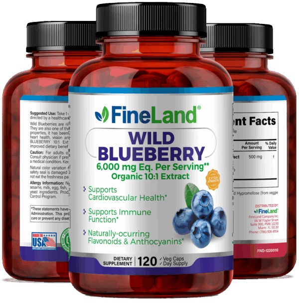 Wild Blueberry - Image 4