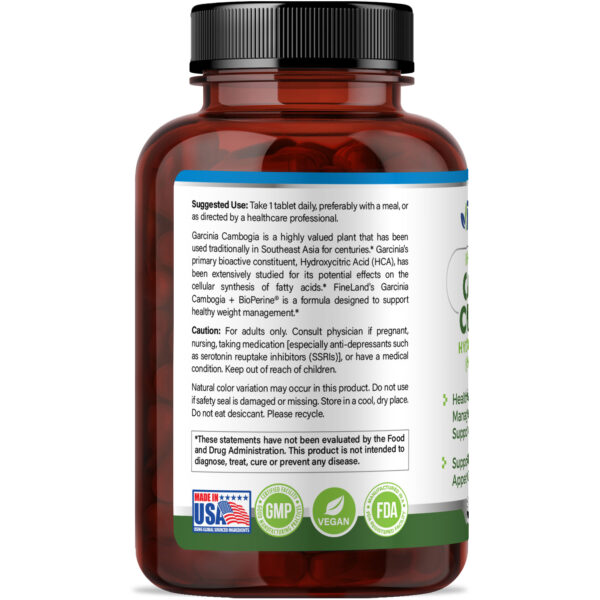 Garcinia Cambogia - Image 4
