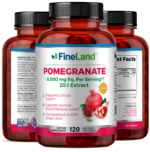Pomegranate - Image 4