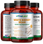 White Kidney Bean - Image 4