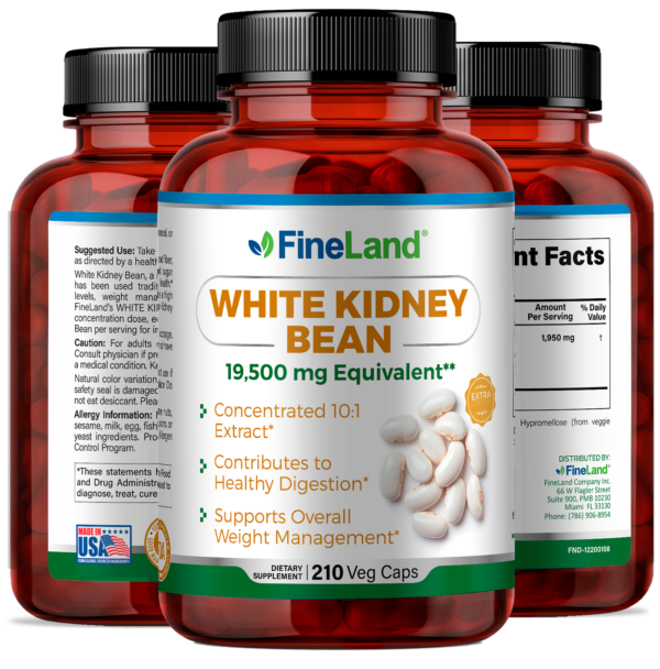 White Kidney Bean - Image 4
