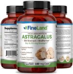 Astragalus - Image 4