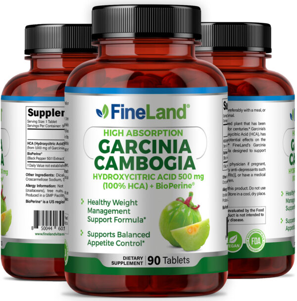 Garcinia Cambogia - Image 4