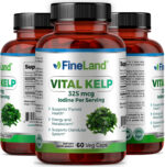 Vital Kelp - Image 4