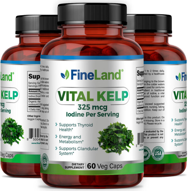 Vital Kelp - Image 4