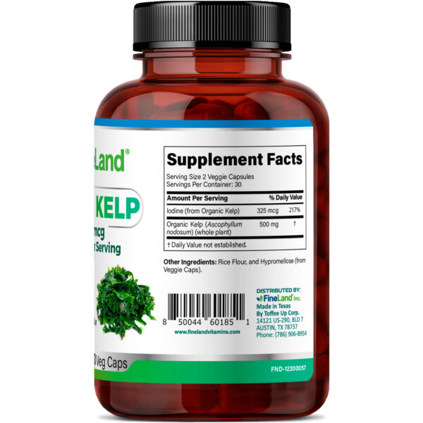 Vital Kelp - Image 3