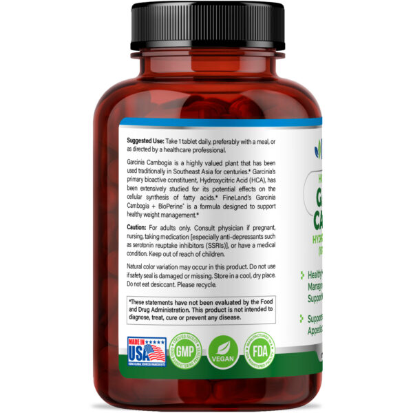 Garcinia Cambogia - Image 2
