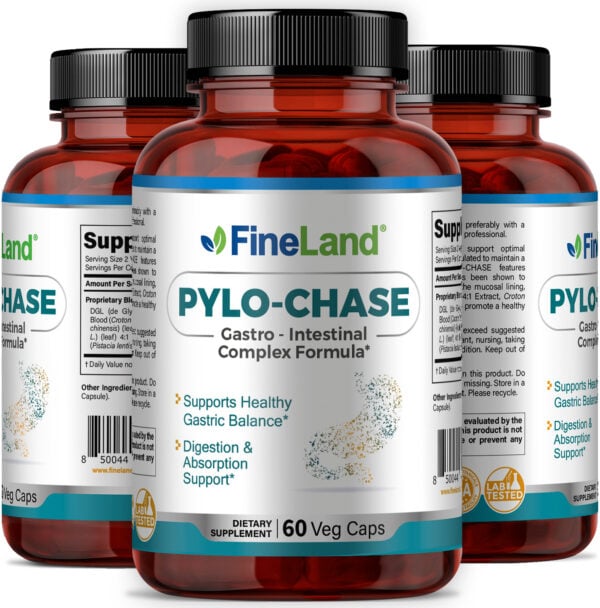 Pylo-Chase - Image 4
