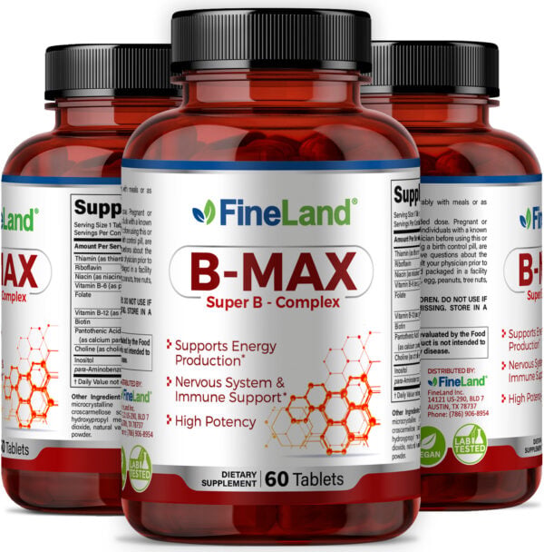 B-Max - Image 4