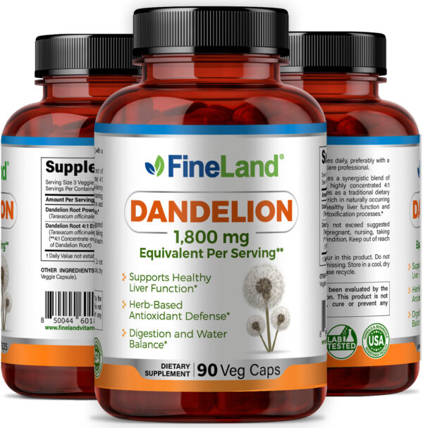 Dandelion - Image 4