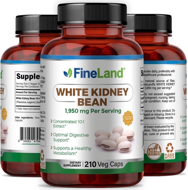 White Kidney Bean - Image 4