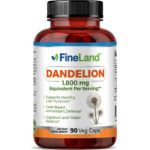 Dandelion